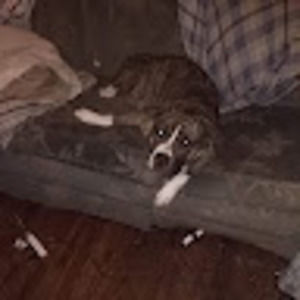 Meet your Posher, Dylan